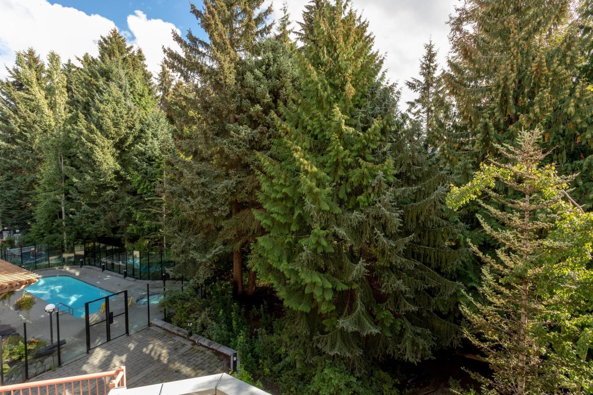 Alpenglow Lodge Bear Wonder One Bedroom By Mva Whistler Exterior foto